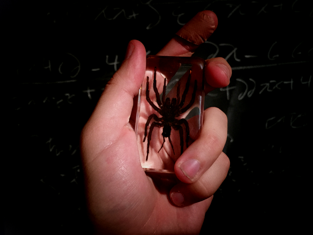 Image 4.png